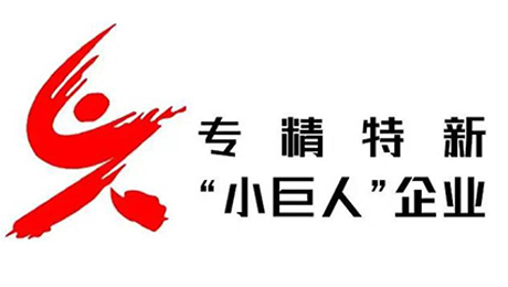 公司获得工信部认定为国家级专精特新”小巨人“企业